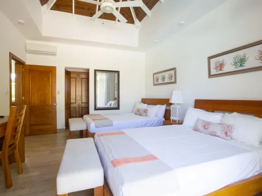 villa 24 OVD